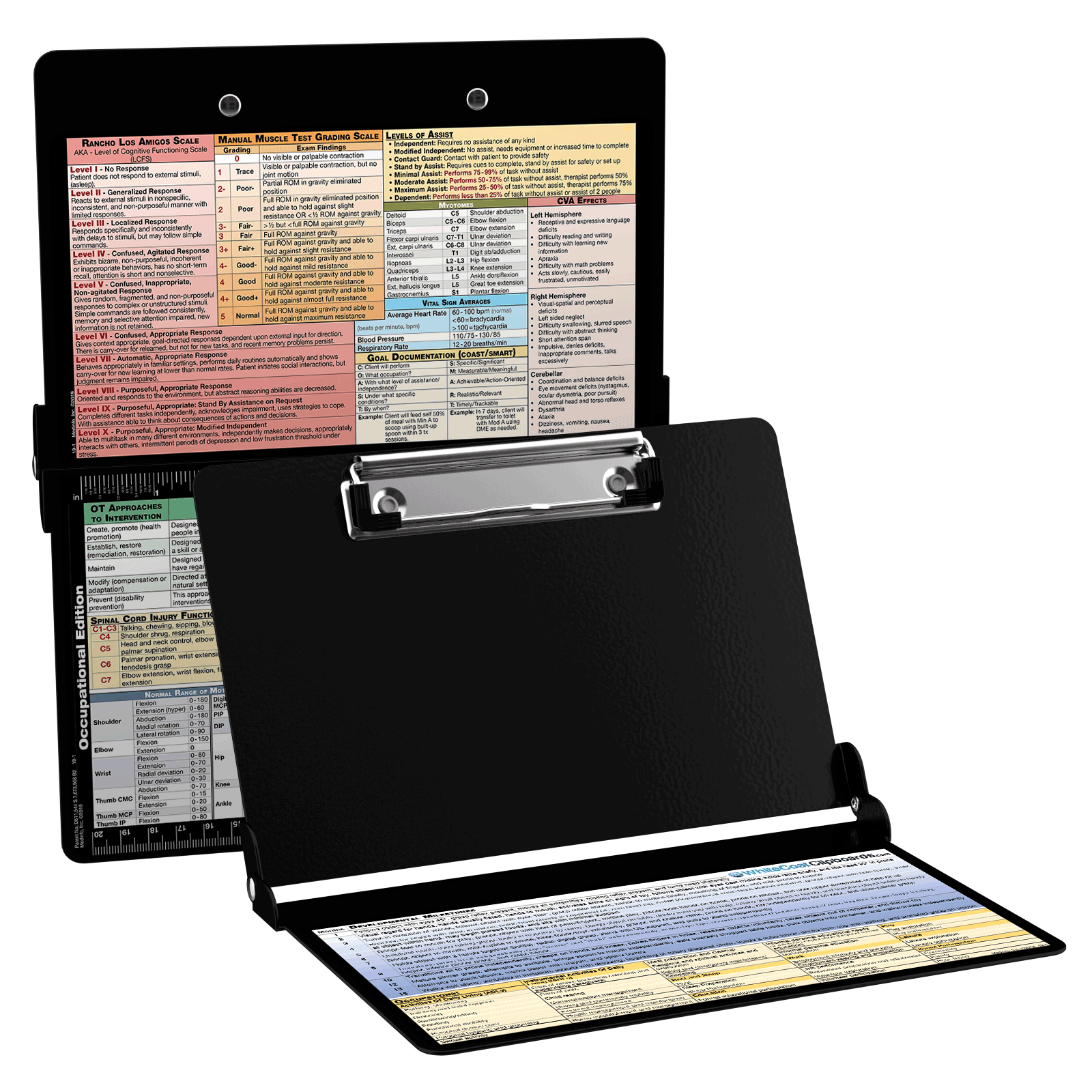 Odoo - Sample 1 for three columns