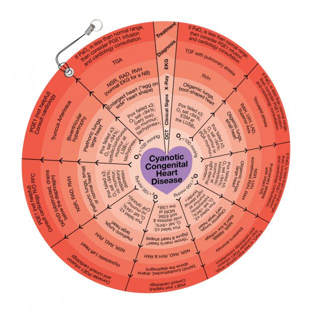 Odoo - Sample 1 for three columns