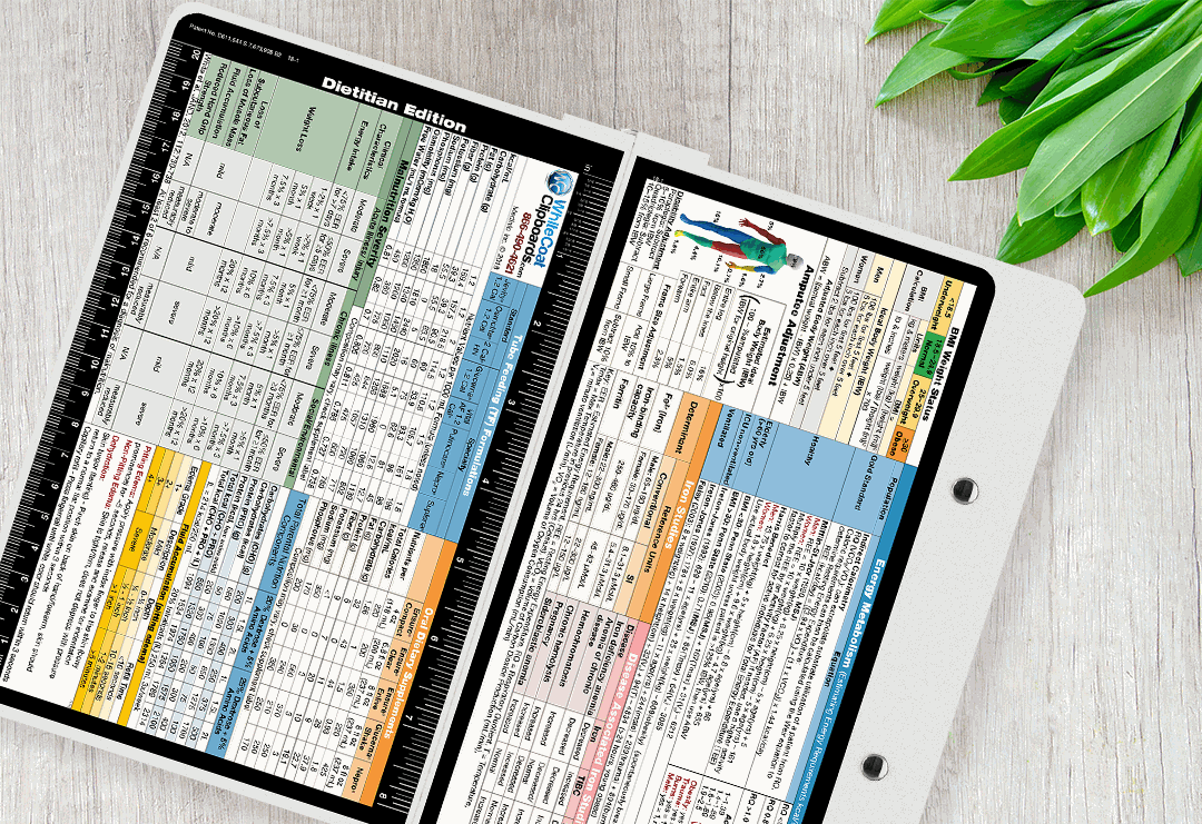 Odoo • Image and Text