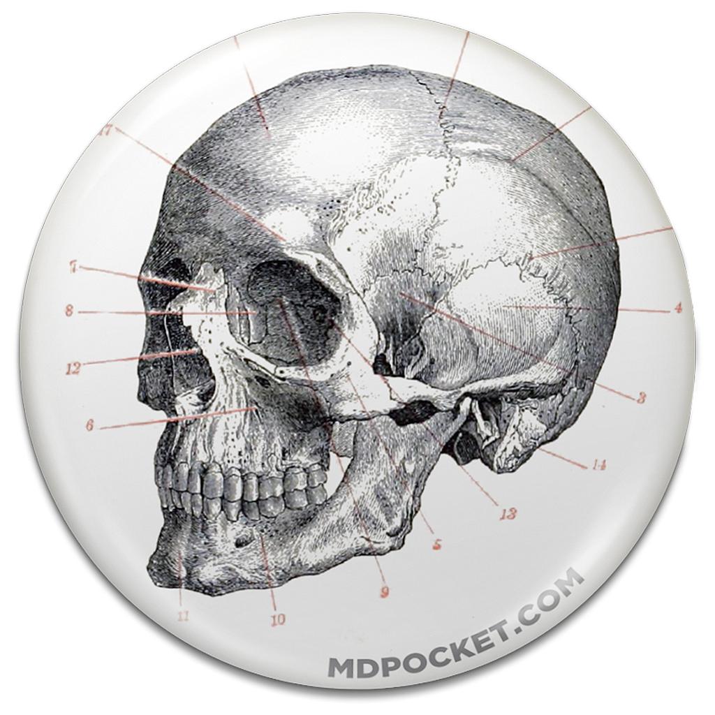 Vintage Skull Diagram Button